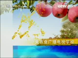 蝎子繁殖期怎么管理：交配、孕蝎与产仔阶段注意事项