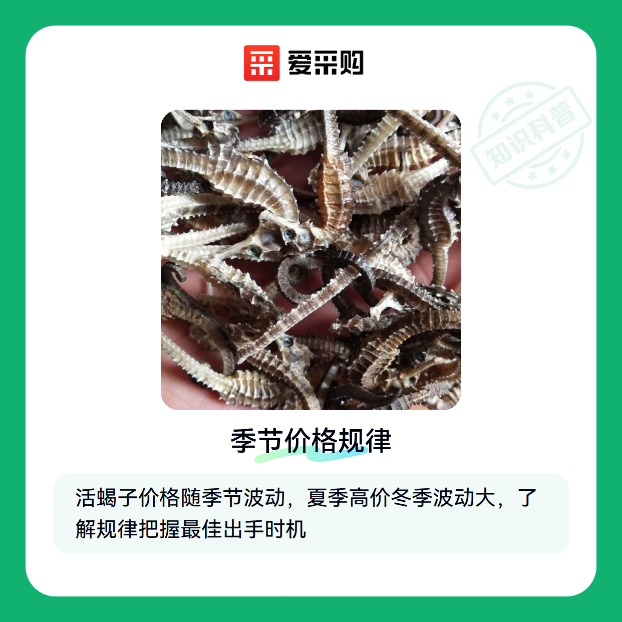 幼蝎管理要点：开口、分群、蜕皮和成活率提升方法