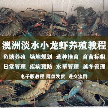 蝎子吃什么更合适:常见活体饲料与投喂原则 蝎子吃什么更合适:常见活体饲料与投喂原则