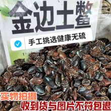蝎池怎么建更方便管理:尺寸、材料和分区设计参考 蝎池怎么建更方便管理:尺寸、材料和分区设计参考