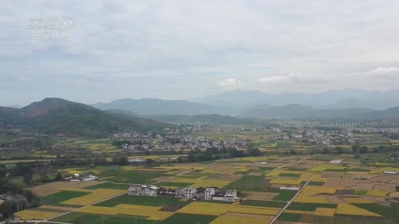夏季养蝎如何防高温:遮阴、通风和饮水管理要点 夏季养蝎如何防高温:遮阴、通风和饮水管理要点