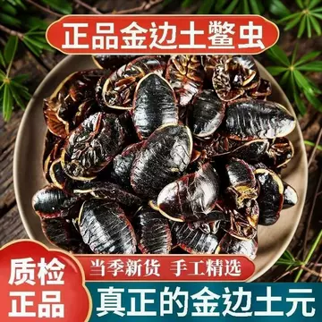 秋季养蝎要做哪些准备:增膘、分群与越冬前管理 秋季养蝎要做哪些准备:增膘、分群与越冬前管理