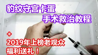 蝎子为什么会互相残食：常见诱因与减少损失的方法
