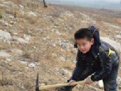 蝎子死亡率突然升高怎么办：环境、饲料和管理排查顺序 蝎子死亡原因 蝎子养殖