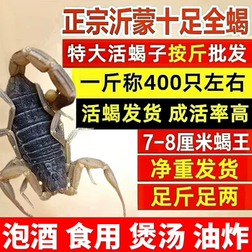 蝎子天敌有哪些：养殖场如何做好防鼠、防蚁和防虫