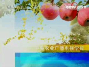 蝎子养殖利润受哪些因素影响：不要只看市场报价