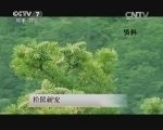 蝎子养殖前景怎么看：从技术门槛、销售渠道到风险控制