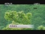 蝎子养殖前景怎么看：从技术门槛、销售渠道到风险控制 蝎子养殖前景 蝎子养殖