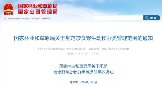 活蝎价格波动怎么看：养殖户应关注规格、季节和销路
