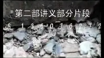 活蝎价格波动怎么看：养殖户应关注规格、季节和销路