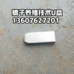 蝎子销售渠道怎么拓展：养殖户建立稳定销路的实用方法