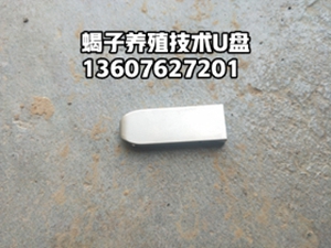 蝎子销售渠道怎么拓展：养殖户建立稳定销路的实用方法 蝎子销售 蝎子养殖