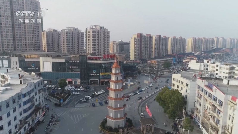 河南蝎子养殖日常管理：结合季节变化调整温湿度 河南蝎子养殖 蝎子养殖