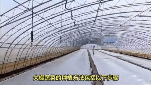 蝎子繁殖周期怎么理解:配种、孕育与仔蝎管理节点