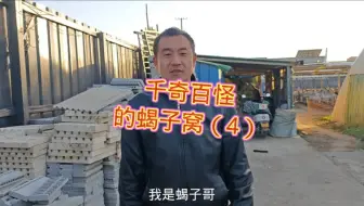 土元养殖入门：场地、温湿度和饲料管理基础