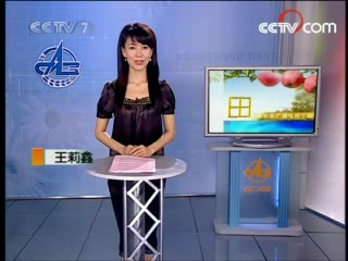 土元养殖入门：场地、温湿度和饲料管理基础