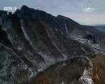 特种养殖项目怎么选择：先评估技术、销路和当地条件