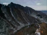 特种养殖项目怎么选择：先评估技术、销路和当地条件 特种养殖项目 蝎子养殖
