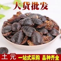 药用动物养殖需要注意什么:生产管理与合规经营思路 药用动物养殖需要注意什么:生产管理与合规经营思路