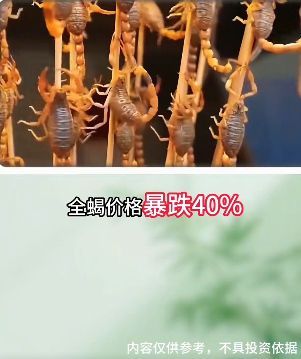 蝎场停电怎么办：保温、通风与应急管理预案 蝎场应急管理 蝎子养殖