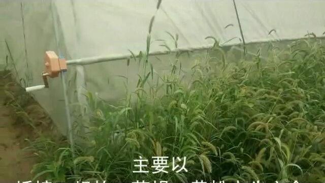 蝎子运输怎么降低损耗：装箱、密度与途中环境管理
