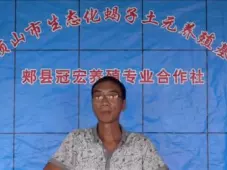 规模化蝎子养殖如何提高管理效率：分区、记录与标准化 规模化蝎子养殖 蝎子养殖